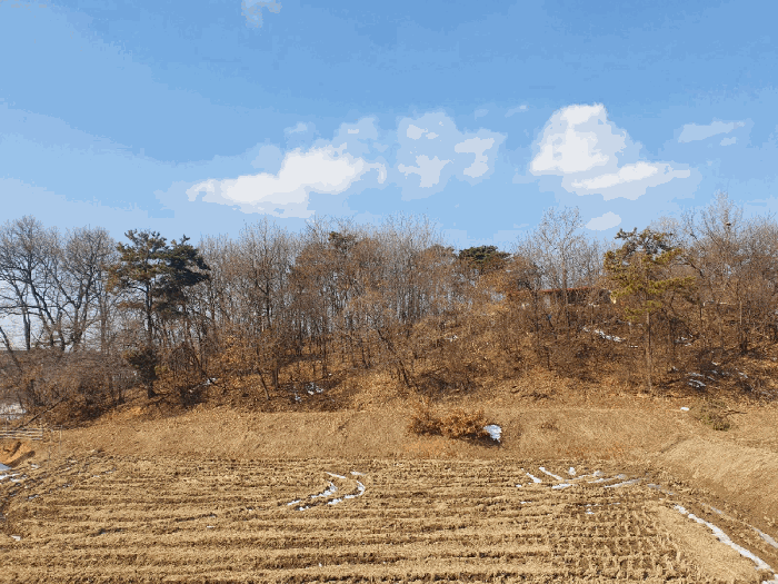 충청북도 음성군 삼성면 상곡리 산50-1 임야 경매 사진 26