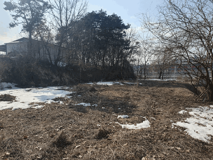충청북도 음성군 삼성면 상곡리 산50-1 임야 경매 사진 27
