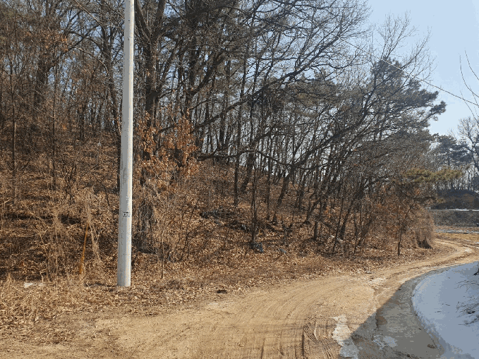 충청북도 음성군 삼성면 상곡리 산50-1 임야 경매 사진 30