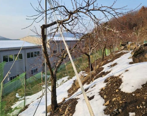 충청북도 충주시 수안보면 중산리 311-3 외 3필지 공장 경매 사진 21