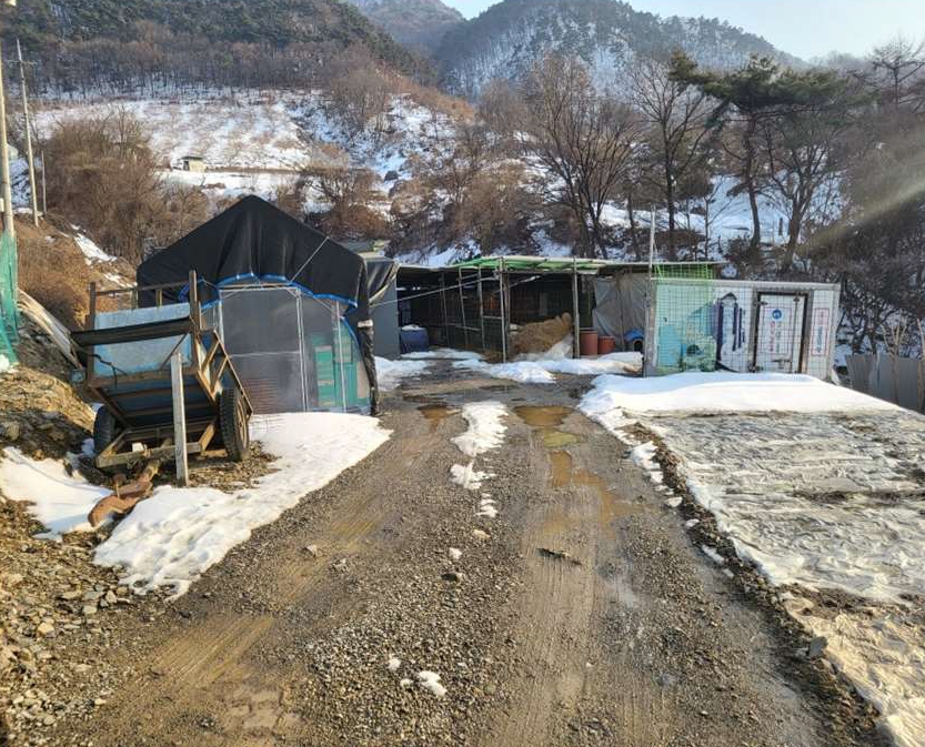 충청북도 충주시 수안보면 중산리 311-3 외 3필지 공장 경매 사진 22
