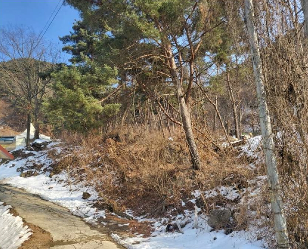충청북도 충주시 수안보면 중산리 311-3 외 3필지 공장 경매 사진 7