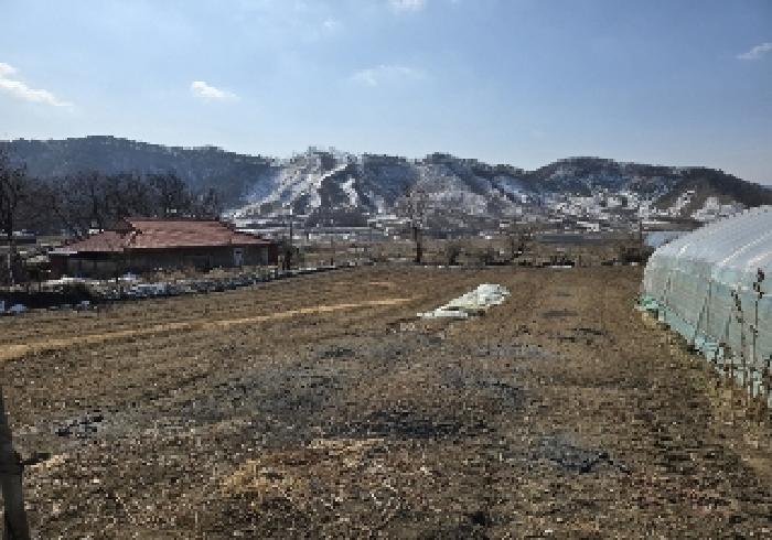 충청북도 음성군 원남면 덕정리 129-1 전 경매 사진 1
