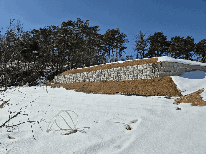 충청북도 음성군 음성읍 읍내리 120-3 전 경매 사진 18