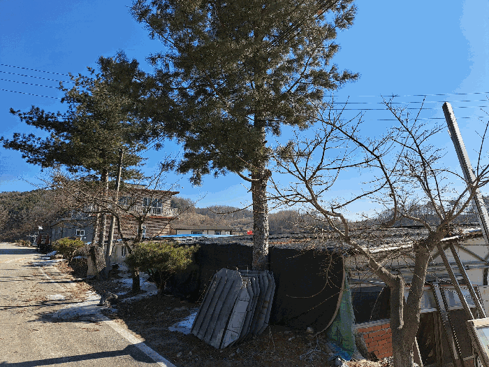 충청북도 충주시 주덕읍 화곡리 816-99 외 3필지 상가주택 경매 사진 30