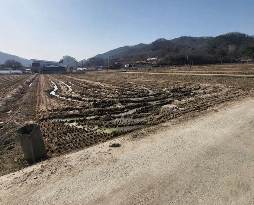 충청북도 음성군 원남면 보룡리 240 답 경매 사진 1