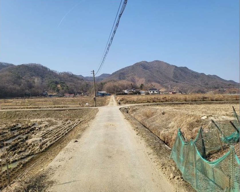충청북도 음성군 원남면 보룡리 240 답 경매 사진 2