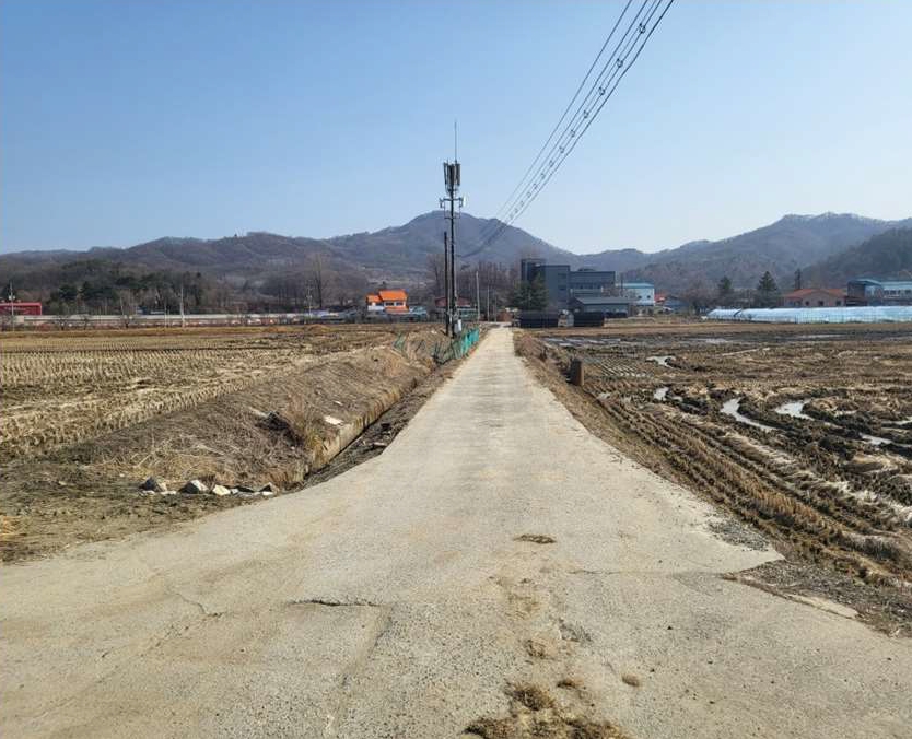 충청북도 음성군 원남면 보룡리 240 답 경매 사진 3