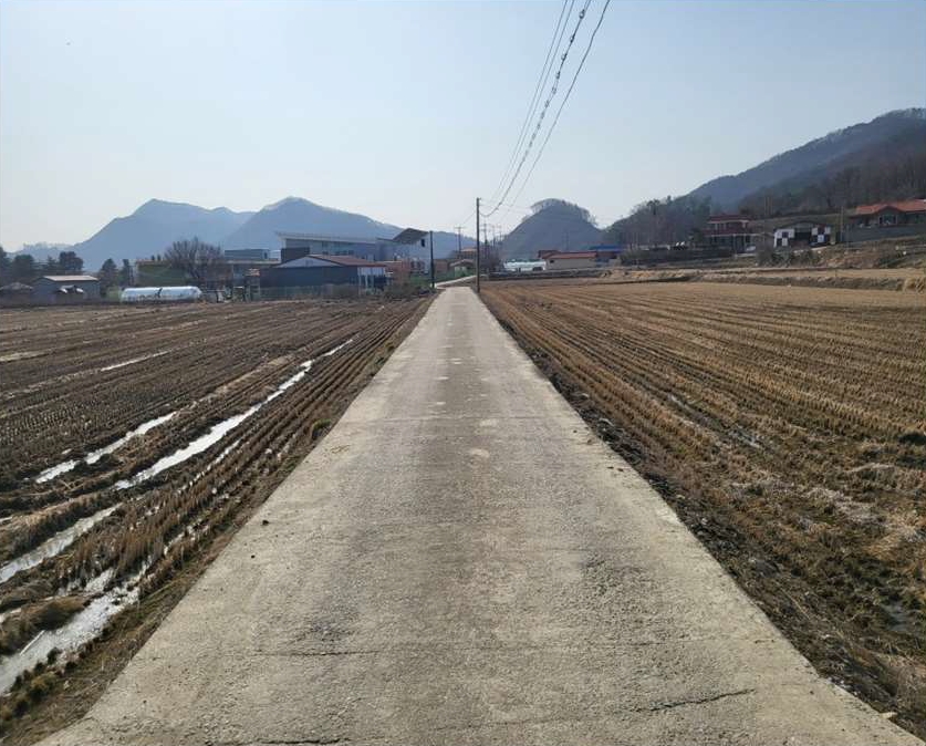 충청북도 음성군 원남면 보룡리 240 답 경매 사진 4