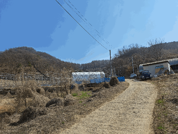 충청북도 충주시 용탄동 876 외 5필지 답 경매 사진 12