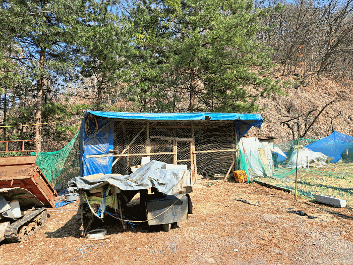 충청북도 충주시 용탄동 876 외 5필지 답 경매 사진 18