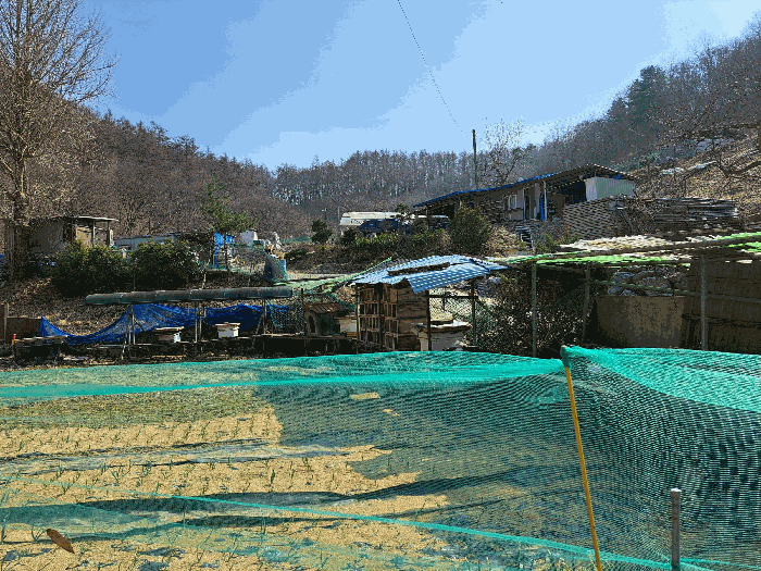 충청북도 충주시 용탄동 876 외 5필지 답 경매 사진 20