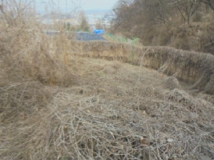 충청북도 충주시 용탄동 876 외 5필지 답 경매 사진 3