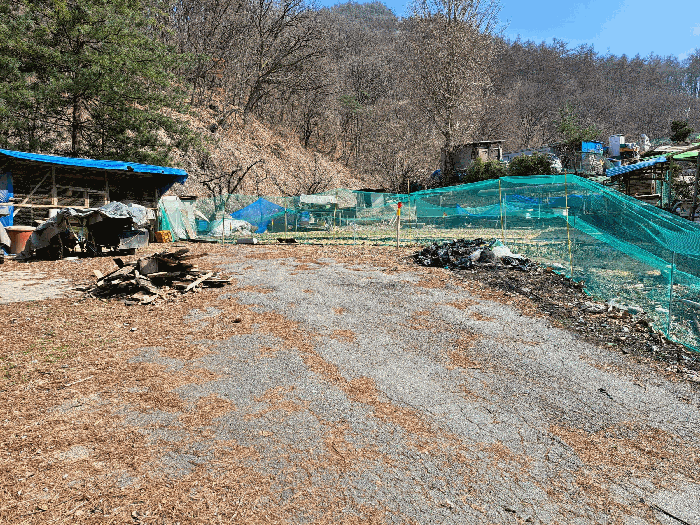충청북도 충주시 용탄동 876 외 5필지 답 경매 사진 7