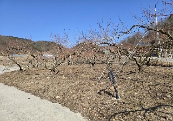 충북 충주시 답
