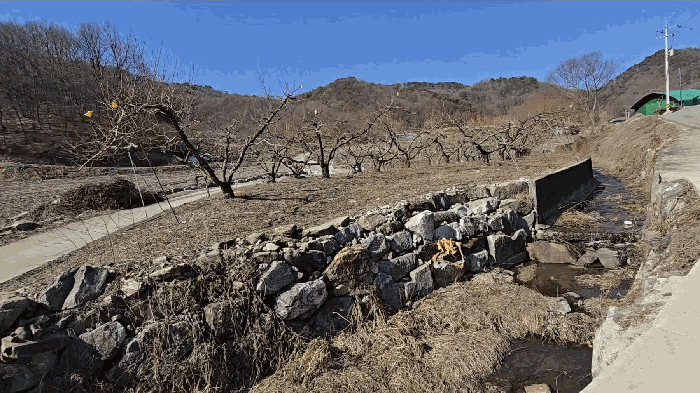충청북도 충주시 소태면 복탄리 460 외 1필지 답 경매 사진 3