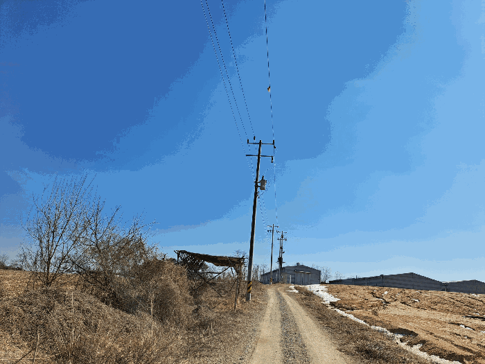 충청북도 충주시 신니면 마수리 163-19 외 3필지 동물및식물관련시설 경매 사진 10