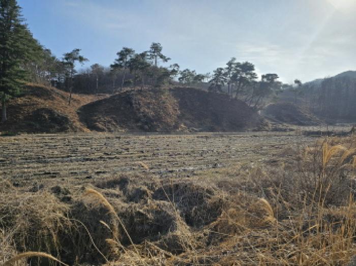 충청북도 충주시 앙성면 조천리 174-1 전 경매 사진 1
