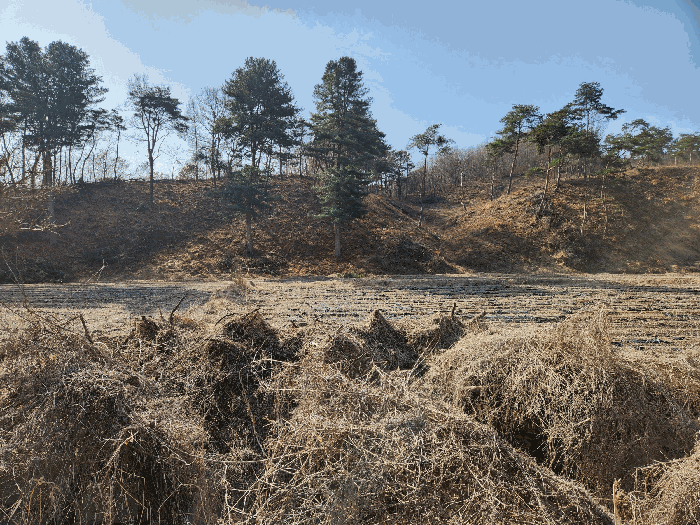 충청북도 충주시 앙성면 조천리 174-1 전 경매 사진 2