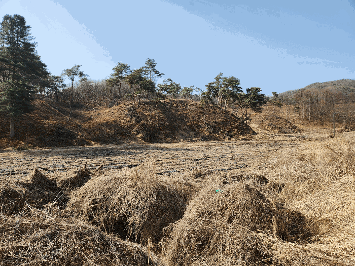 충청북도 충주시 앙성면 조천리 174-1 전 경매 사진 3