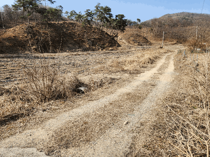 충청북도 충주시 앙성면 조천리 174-1 전 경매 사진 4