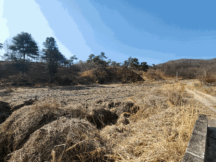 충청북도 충주시 앙성면 조천리 174-1 전 경매 사진 5