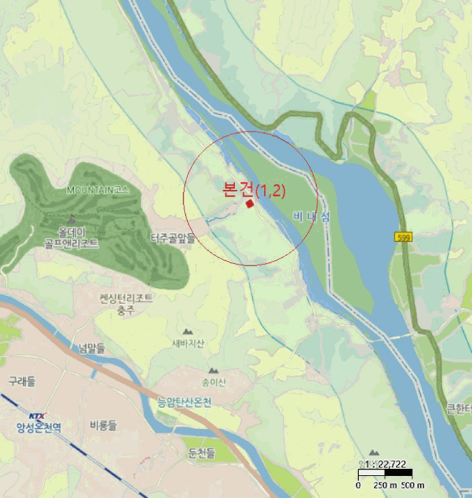충청북도 충주시 앙성면 조천리 300-6 전 경매 사진 8