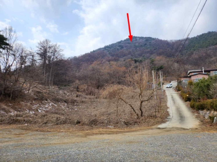 충청북도 제천시 청풍면 연곡리 154-7 외 18필지 임야 경매 사진 12