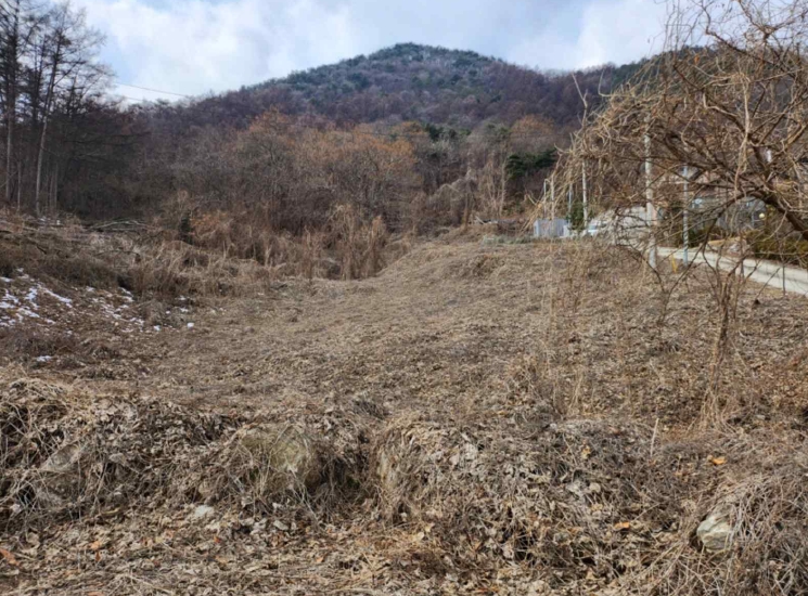 충청북도 제천시 청풍면 연곡리 154-7 외 18필지 임야 경매 사진 13