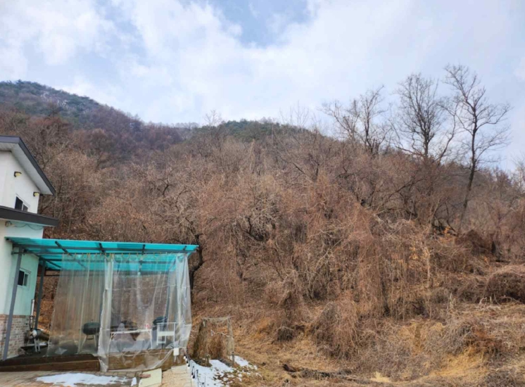 충청북도 제천시 청풍면 연곡리 154-7 외 18필지 임야 경매 사진 14