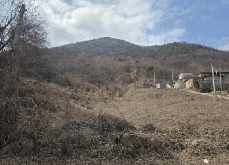 충청북도 제천시 청풍면 연곡리 154-7 외 18필지 임야 경매 사진 19