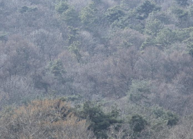 충청북도 제천시 청풍면 연곡리 154-7 외 18필지 임야 경매 사진 20