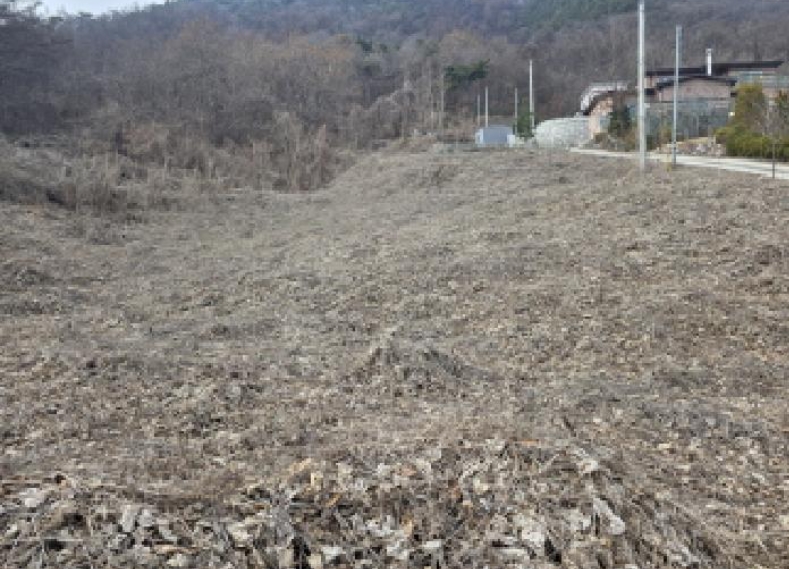 충청북도 제천시 청풍면 연곡리 154-7 외 18필지 임야 경매 사진 21