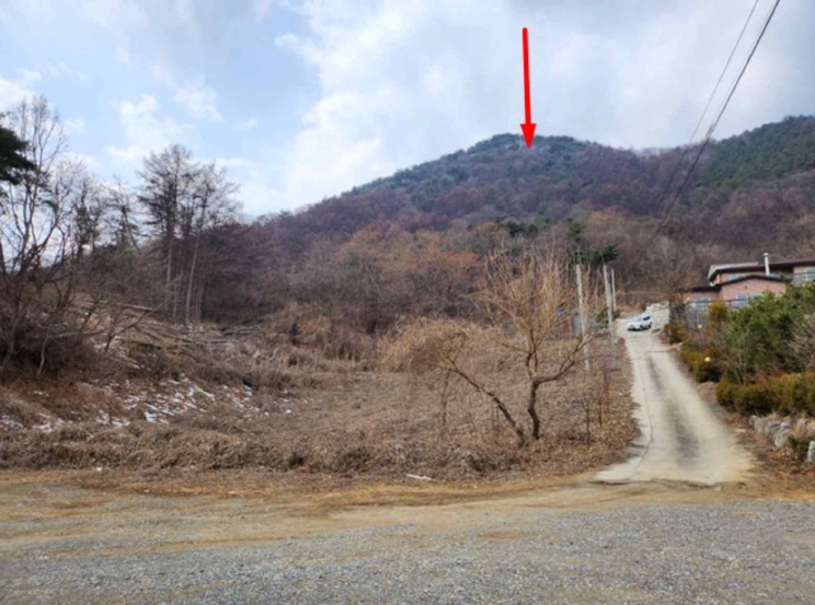 충청북도 제천시 청풍면 연곡리 154-7 외 18필지 임야 경매 사진 5