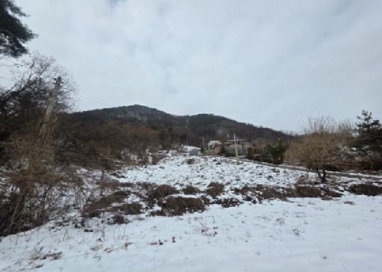 충청북도 제천시 청풍면 연곡리 154-7 외 18필지 임야 경매 사진 6