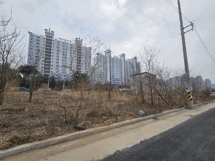 충청북도 제천시 왕암동 88-2 외 4필지 임야 경매 사진 4