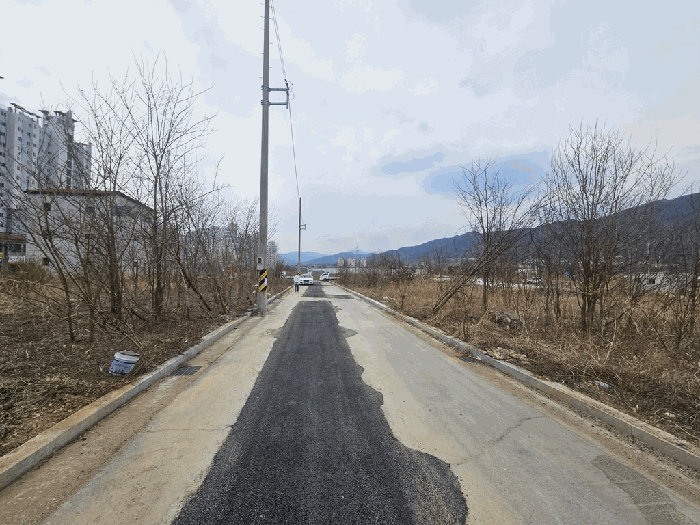 충청북도 제천시 왕암동 88-2 외 4필지 임야 경매 사진 6
