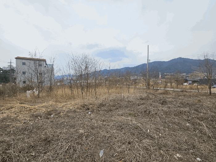 충청북도 제천시 왕암동 88-2 외 4필지 임야 경매 사진 9