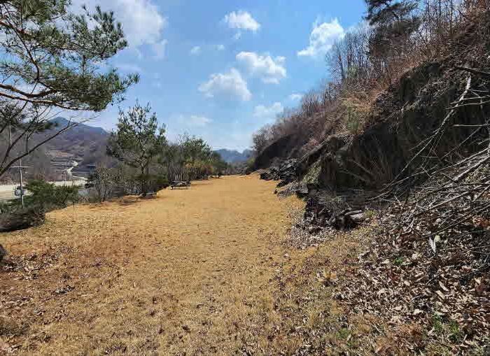 충청북도 옥천군 군북면 지오리 383-3 외 8필지 단독주택 경매 사진 13