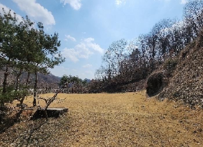충청북도 옥천군 군북면 지오리 383-3 외 8필지 단독주택 경매 사진 4