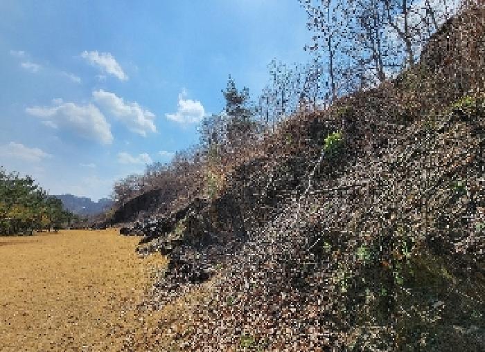 충청북도 옥천군 군북면 지오리 383-3 외 8필지 단독주택 경매 사진 6