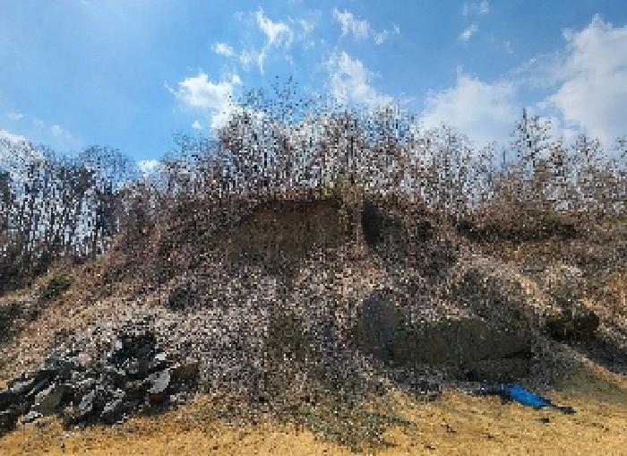 충청북도 옥천군 군북면 지오리 383-3 외 8필지 단독주택 경매 사진 9
