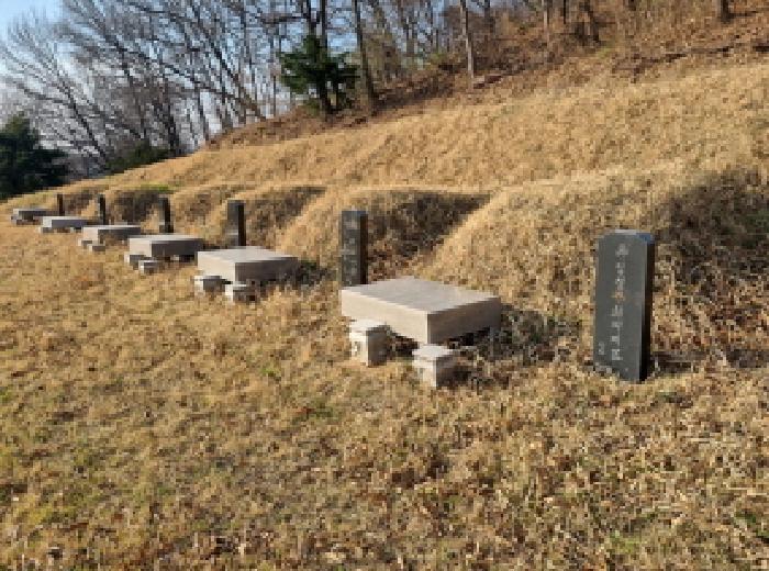 세종특별자치시 부강면 산수리 216-4 외 4필지 전 경매 사진 21
