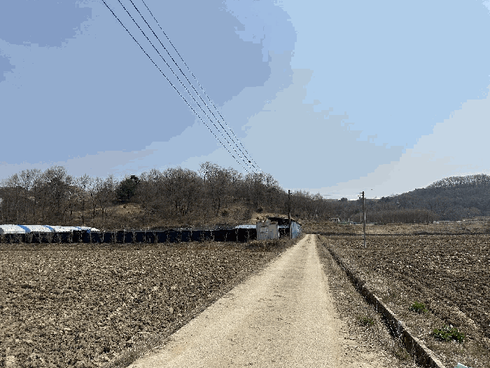 세종특별자치시 부강면 산수리 216-4 외 4필지 전 경매 사진 45