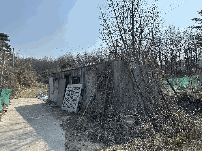 세종특별자치시 부강면 산수리 216-4 외 4필지 전 경매 사진 50