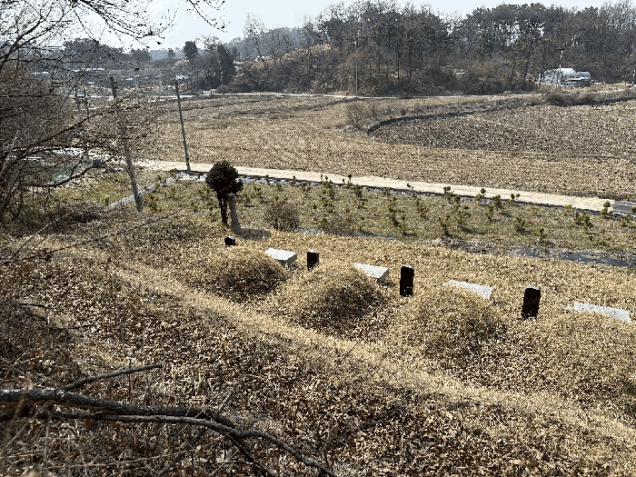 세종특별자치시 부강면 산수리 216-4 외 4필지 전 경매 사진 52