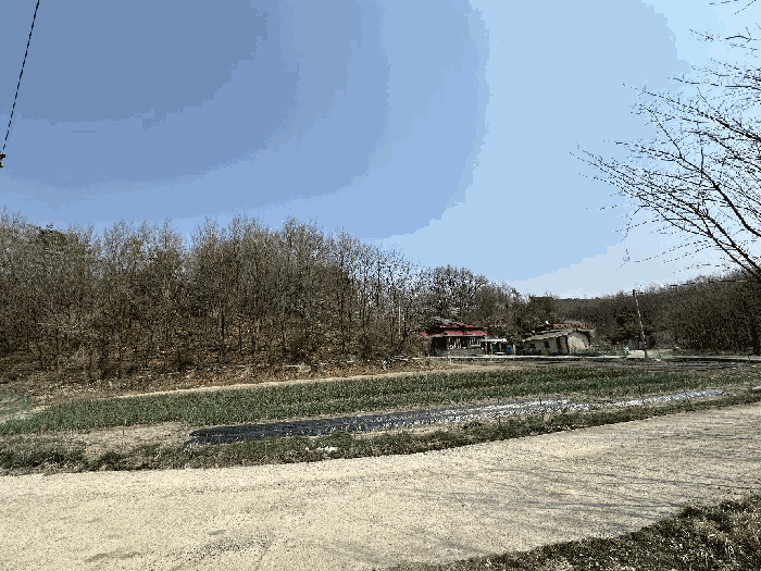 세종특별자치시 부강면 산수리 216-4 외 4필지 전 경매 사진 58