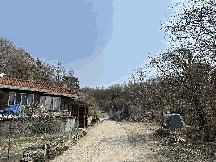 세종특별자치시 부강면 산수리 216-4 외 4필지 전 경매 사진 59