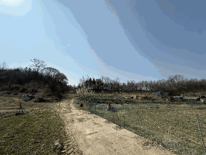 세종특별자치시 부강면 산수리 216-4 외 4필지 전 경매 사진 60