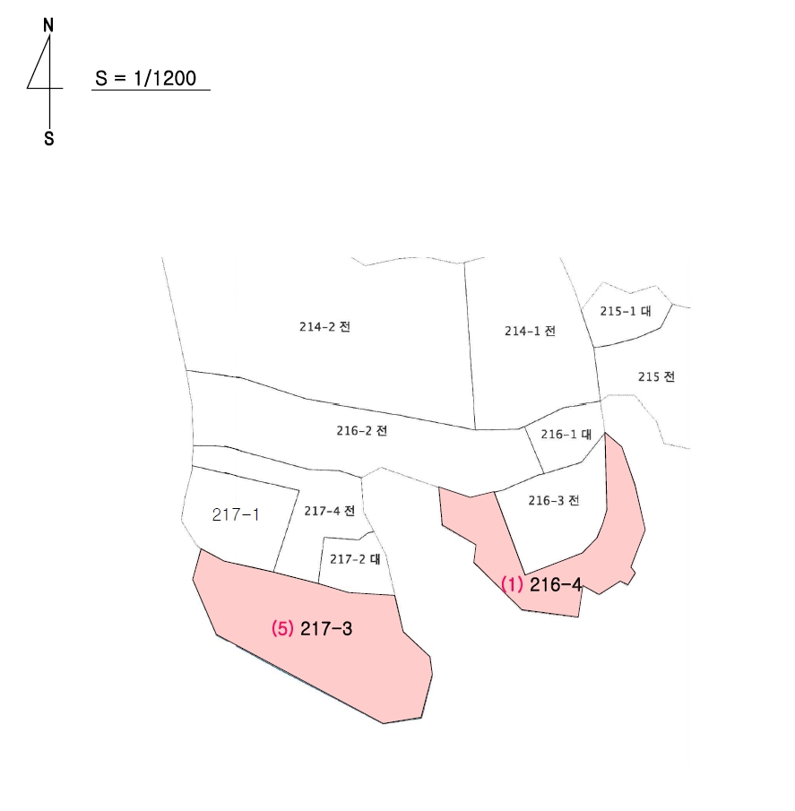 세종특별자치시 부강면 산수리 216-4 외 4필지 전 경매 사진 69